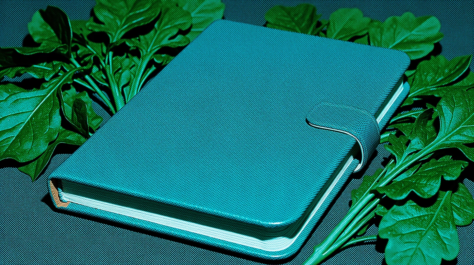 Datenschutz bei Vitalität 50 Plus